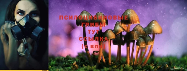твердый Ступино
