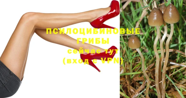 гидра Строитель