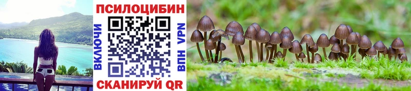 Псилоцибиновые грибы прущие грибы  Ясногорск 
